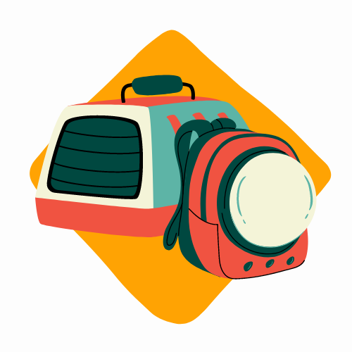 Transportboxen & -taschen