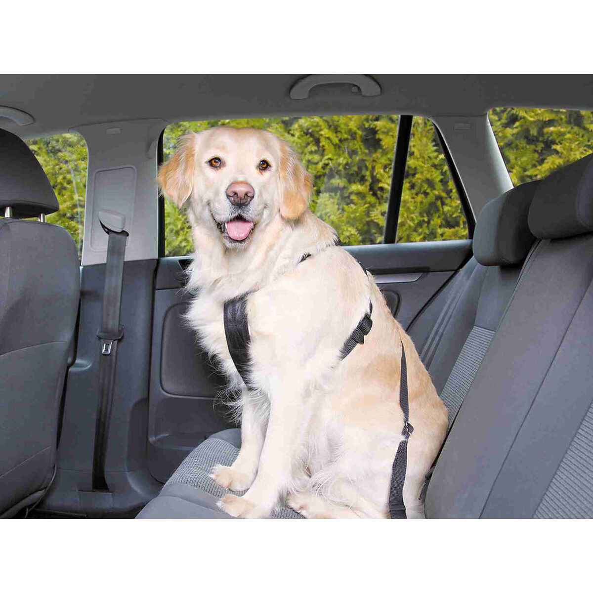 V7H9EB128808D392E442500C5866E7C28ADR7459724P3