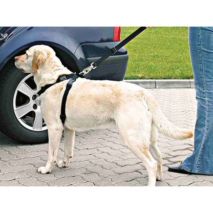 V7HEE5E39E8FEDA3CED9367BD3C5CD4DABAR7448121P2