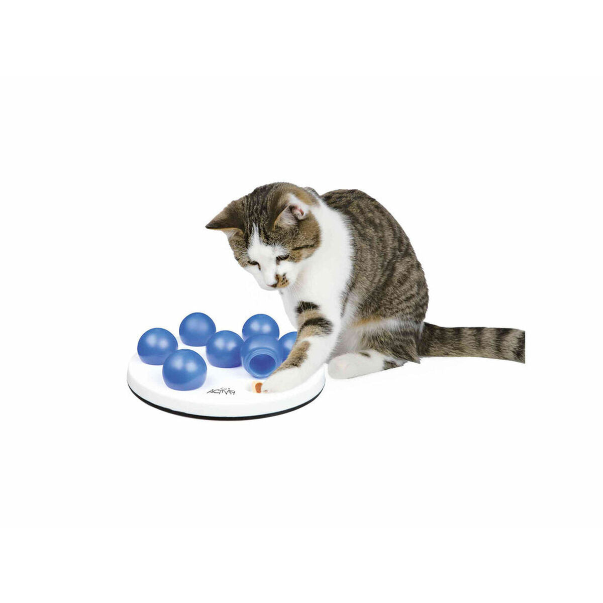 V7H36206A2F91150F359EF610DACBE185B1R7444980P1