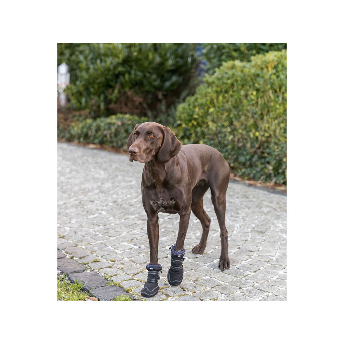 V6H96E119FCA32BCCBBEA6823F5FC8325C1R7455284P7