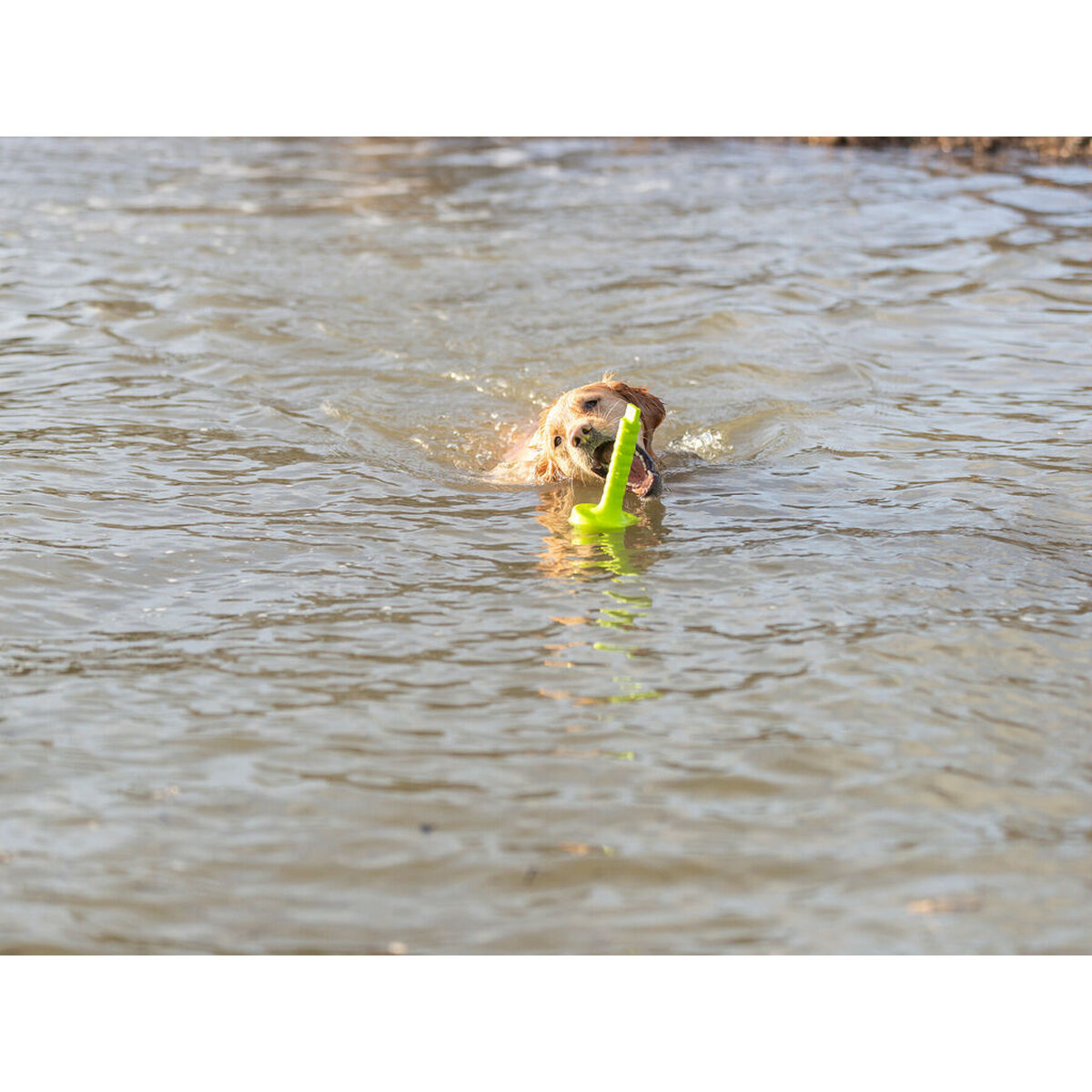 V8HD461802D8E9D4B9F6737655109C2538FR7443182P5