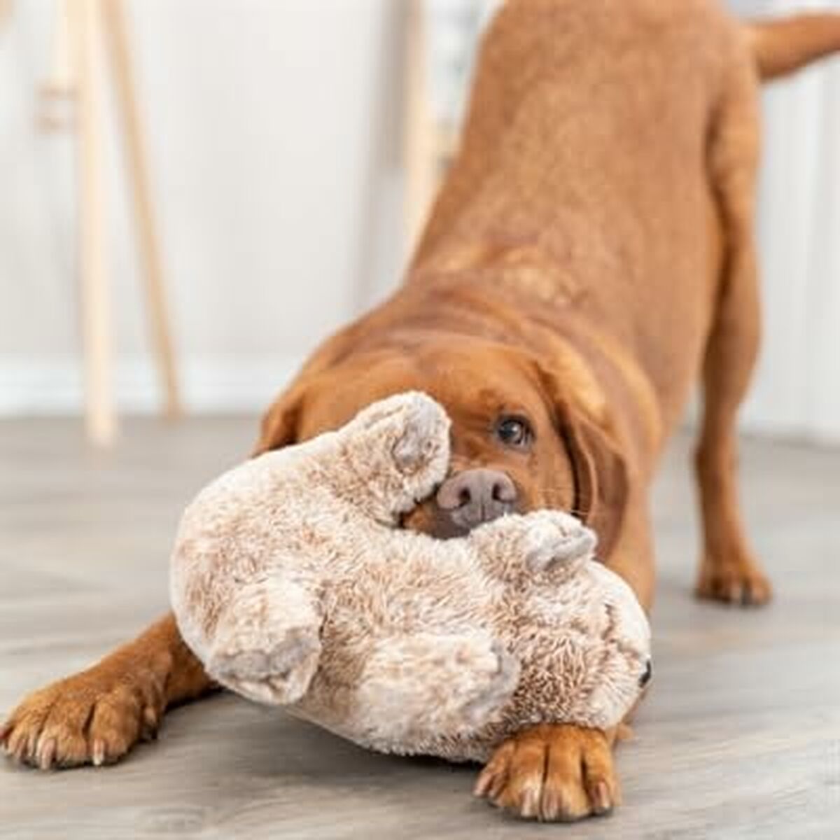 V8H14BA42EA9283B57F2A4833B69632EC1DR5432027P3