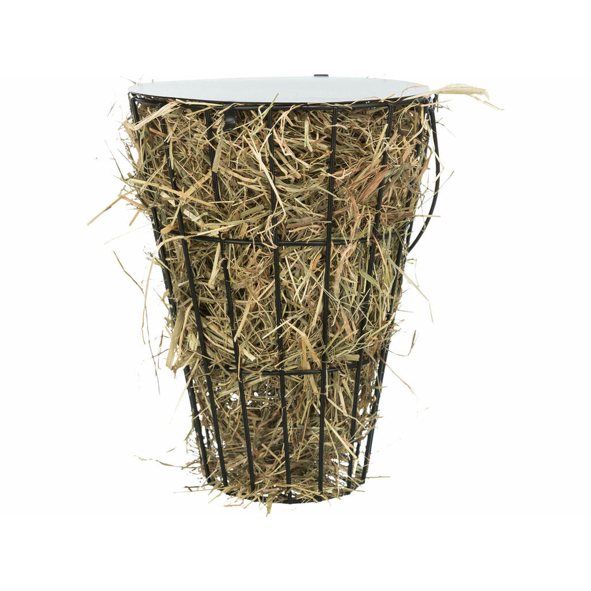 V8H6A650D84AE37BABBE9A3FF888A2DF90BR7452749P9