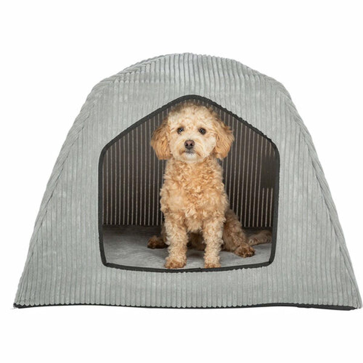 V5HBD58306319778C442D0F7A2AFD3B7536R7462951P8