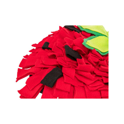 V6H76FABC2814893F742881ED0CD8B6463DR7459569P5