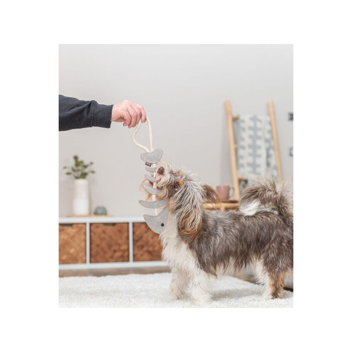 V5HDDBE6CE62509740AB799044D1951119ER7463023P7