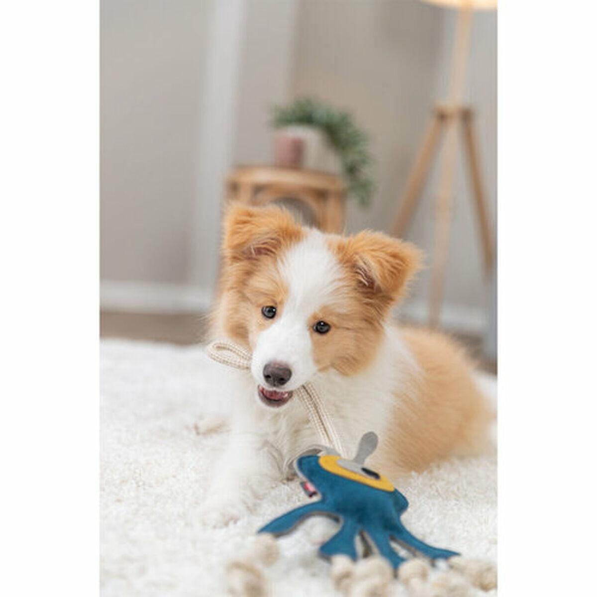 V5HAFF2F6B425A297541D4730484640C88DR7449077P8