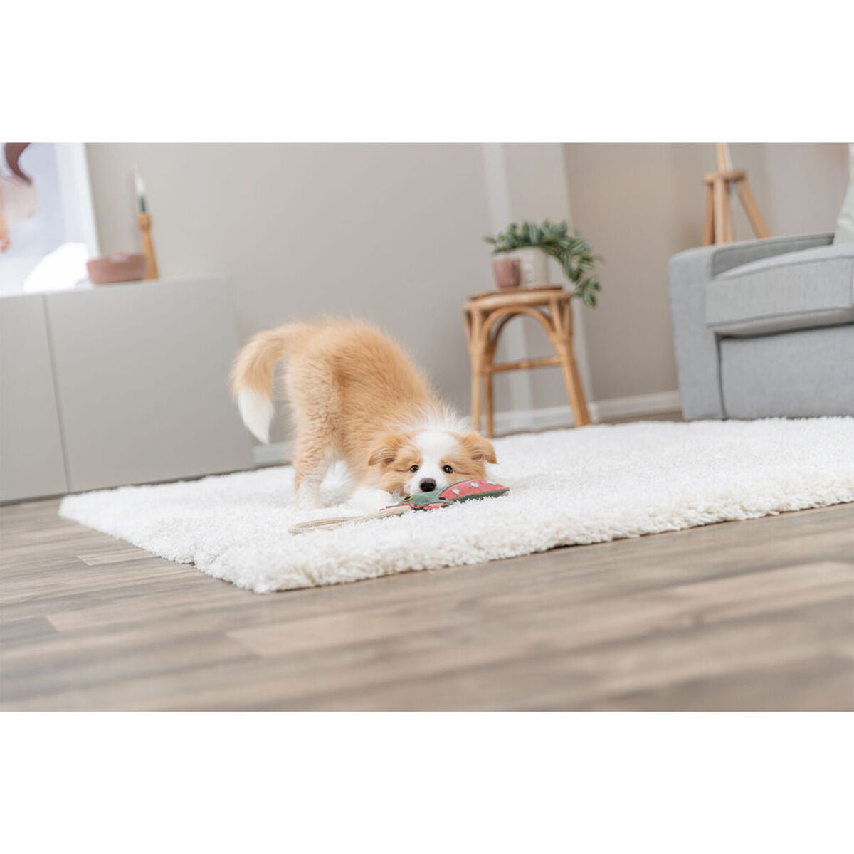 V5H86E8D761710DA2722312AF12F695AD50R7463042P5