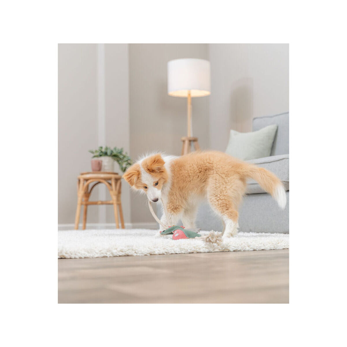 V5H1A873701FC30C6BDD86C3748B530BF71R7463046P7