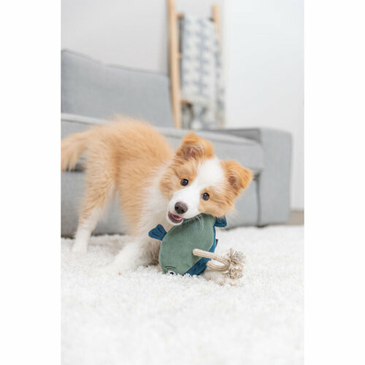 V5H0217513F810EA9C9BC20BB7529A87A00R7462293P10