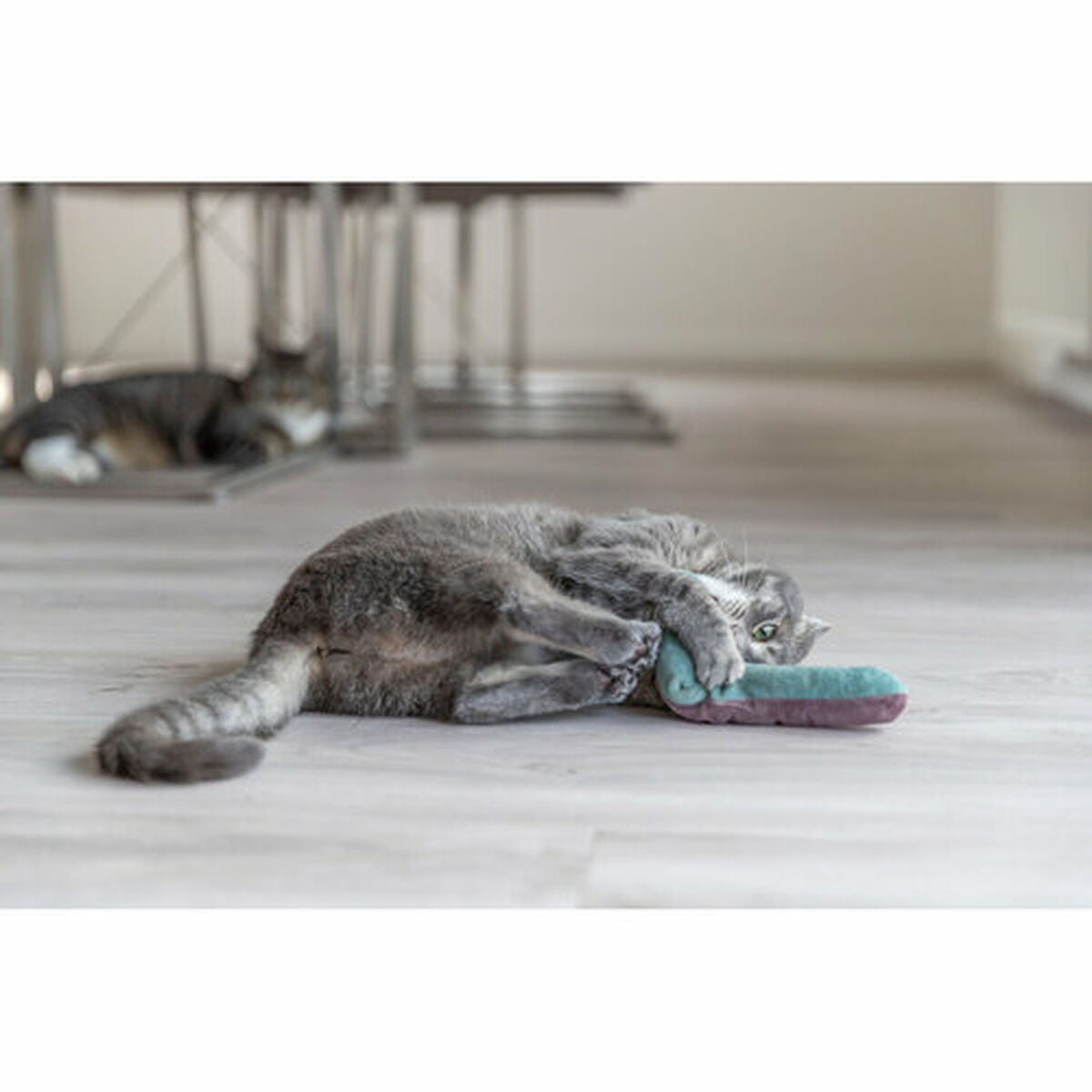 V5H6C54268904FB241B5B937905CDE0A860R7462233P8