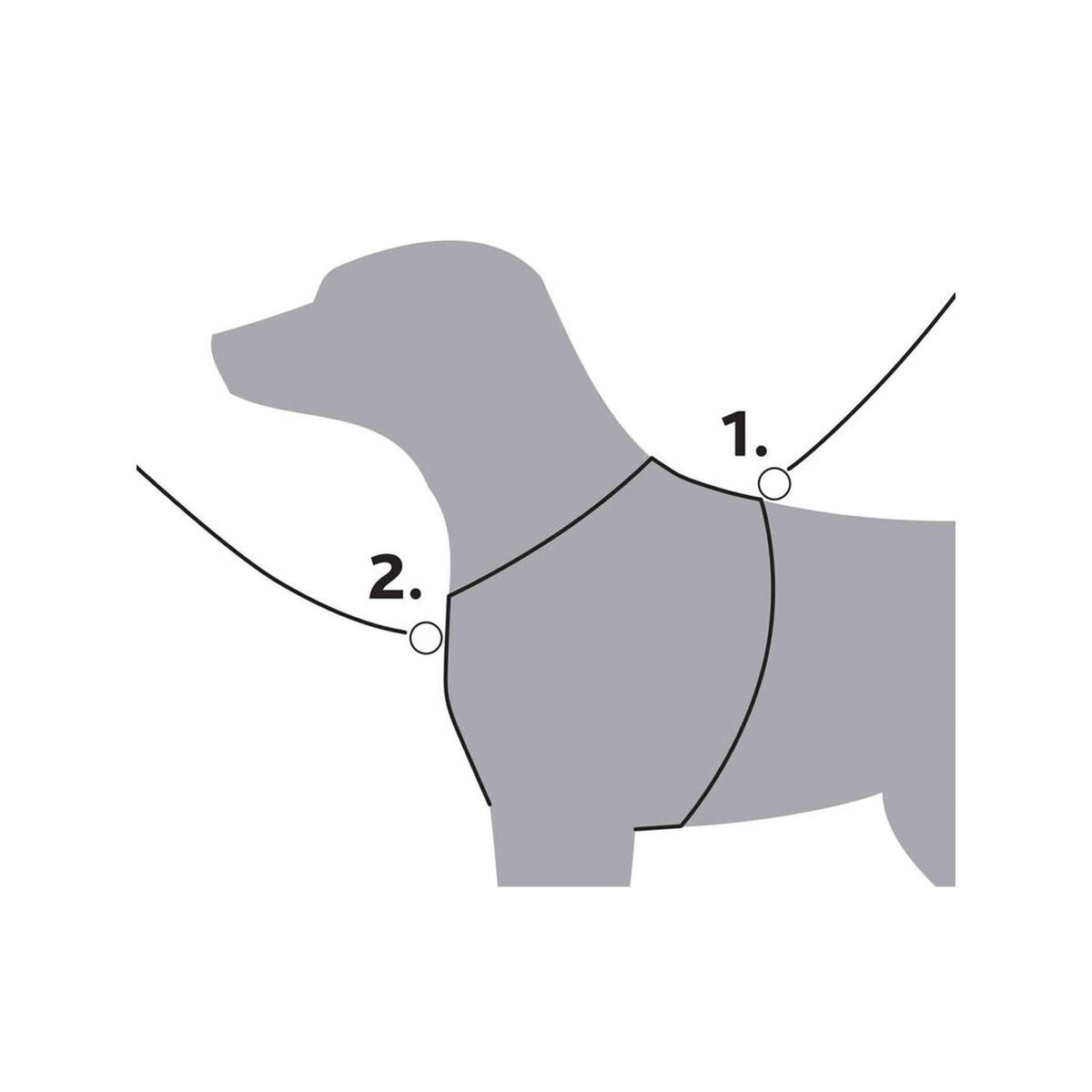 V7HAD55B45A30286FDD2FC31BA564AB5998R7459136P3