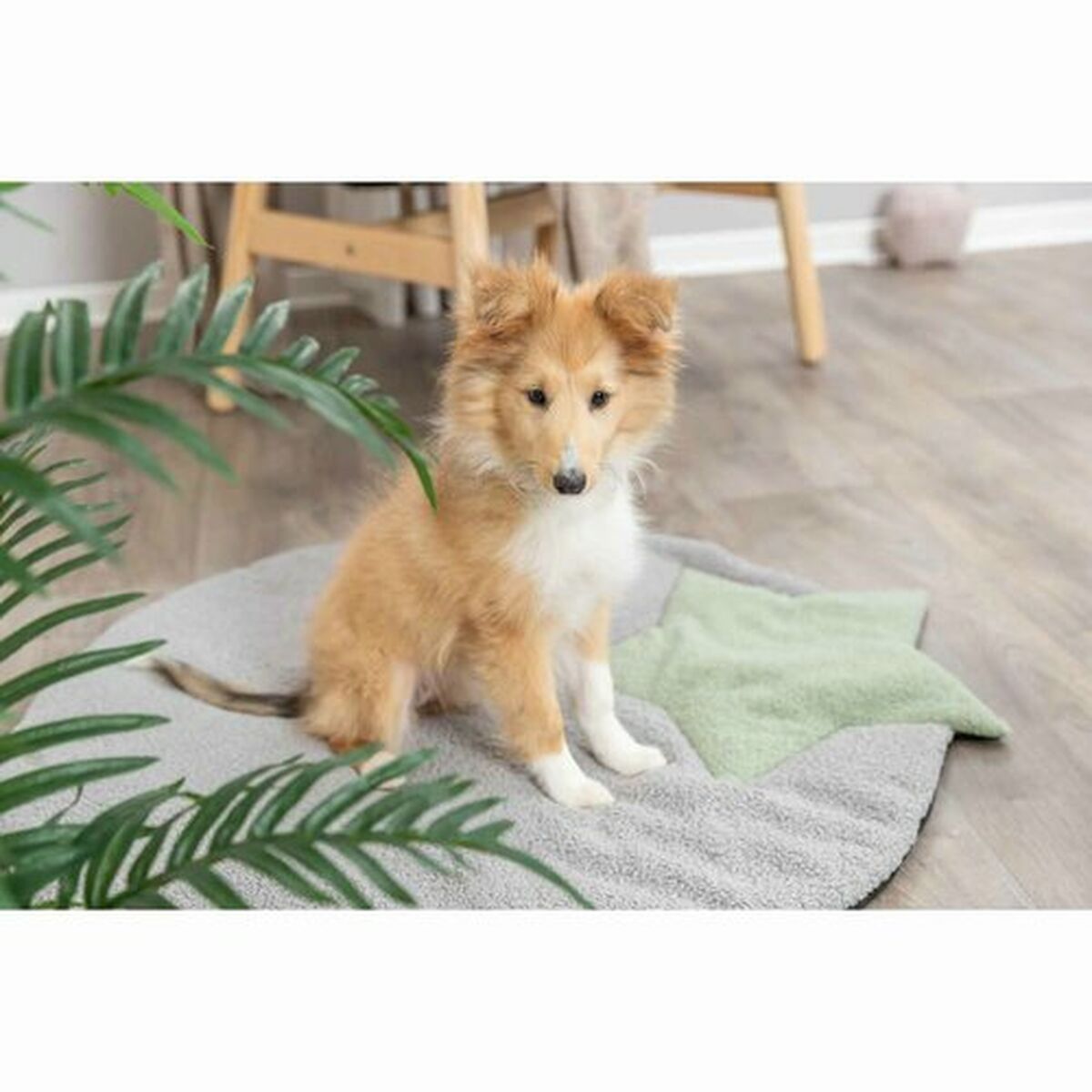 V7H44E63E8810E85F113D78EF00A4D3ED41R7446982P10