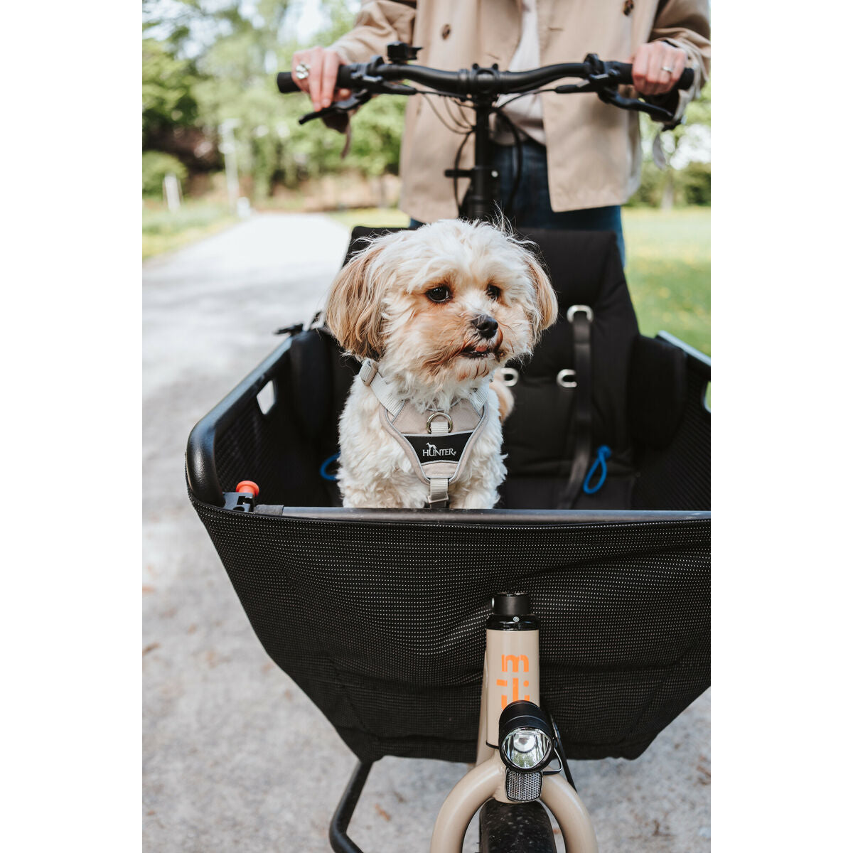 V5H33000E97DA15D6396885D9CD7D60D480R5575559P7