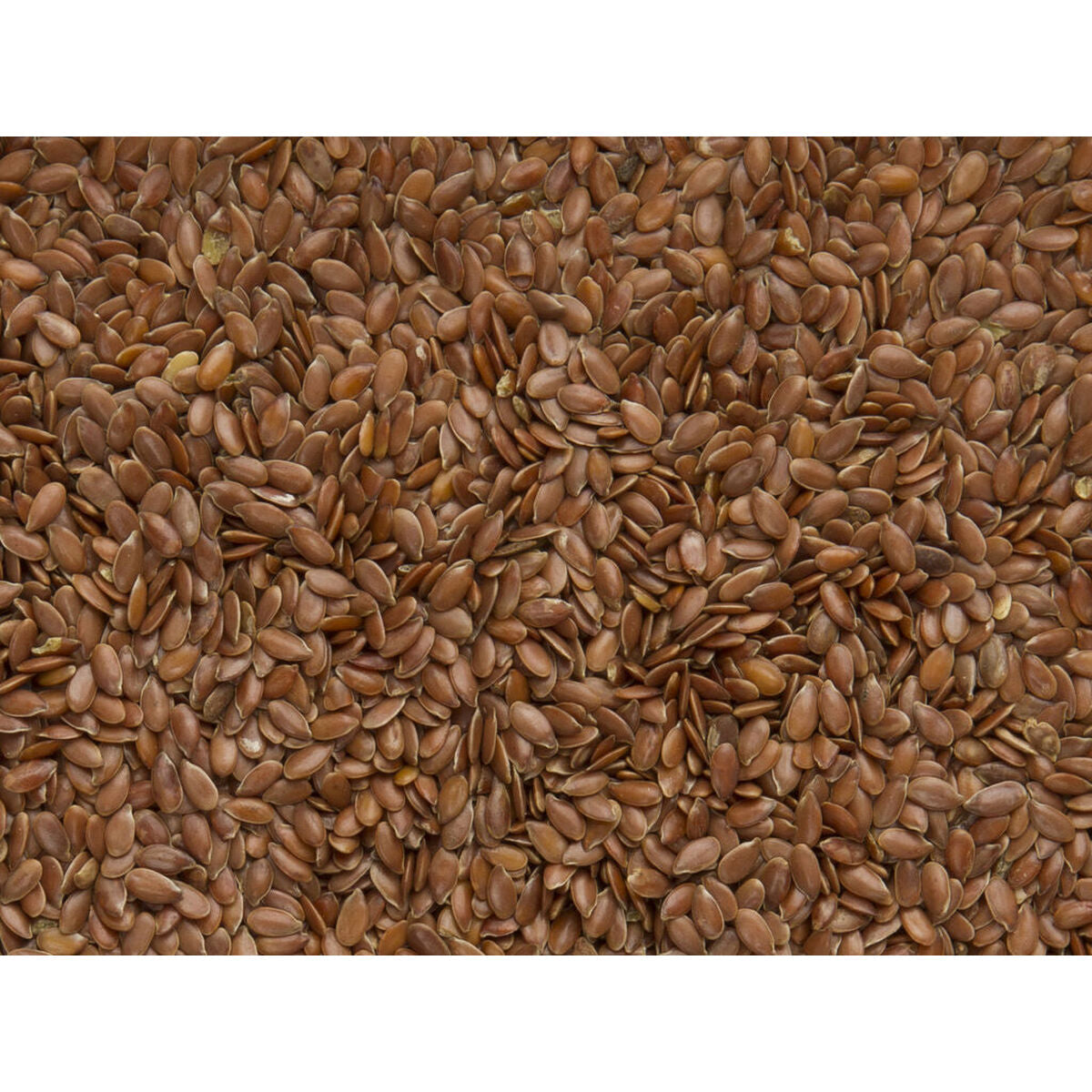 V7HDEB778C85885280C64B2875DC791828AR7450016P3