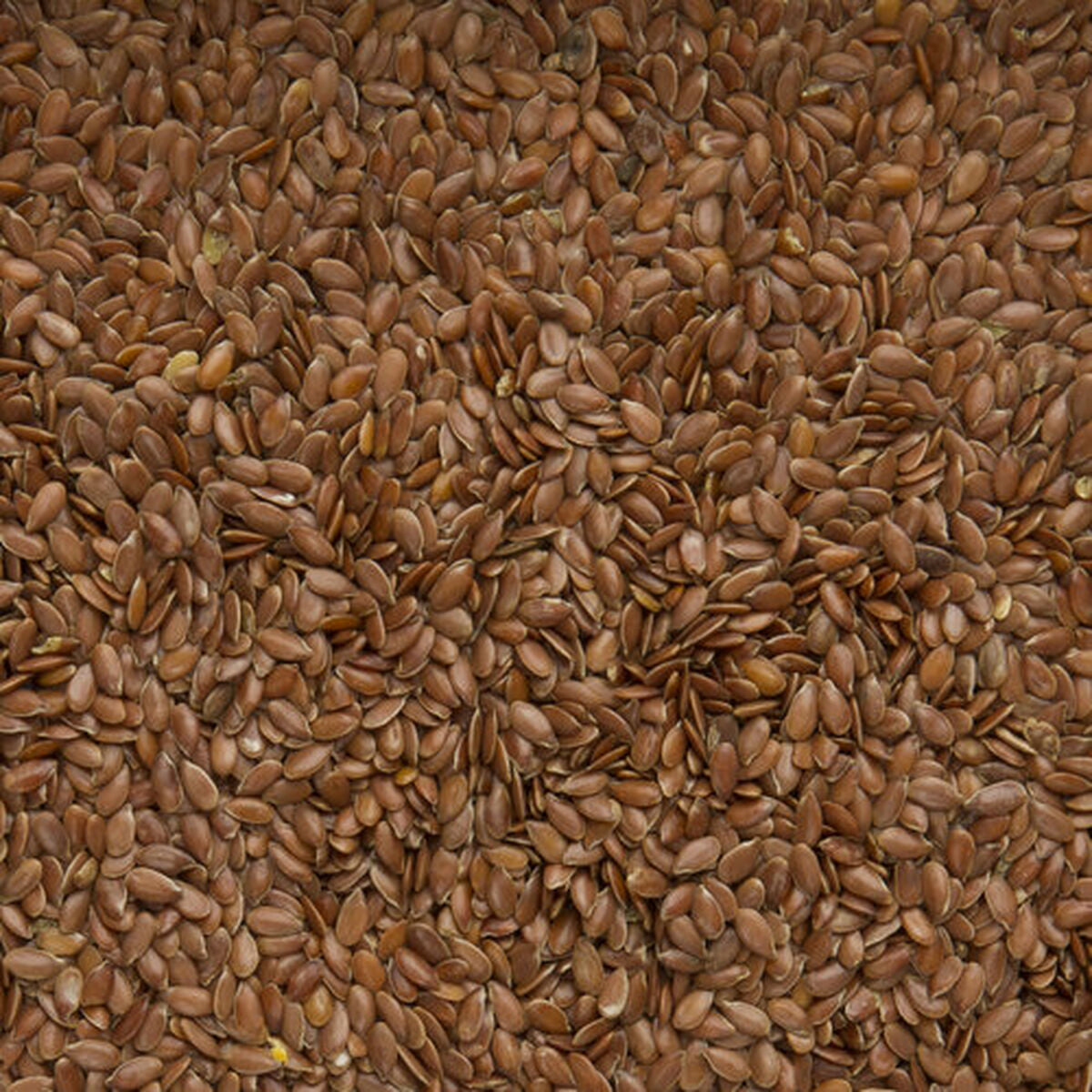 V7H2A83B50CFCD1F60DBD8734FEEB59B28CR7450017P4